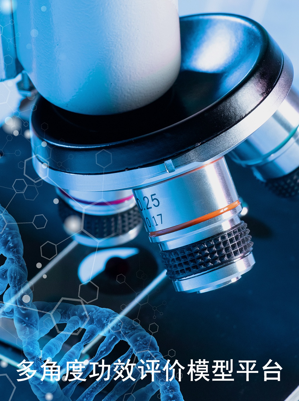 多角度功效评价模型平台