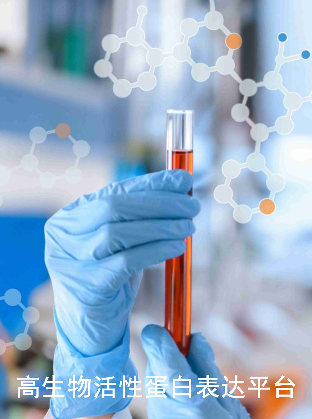高生物活性蛋白表达平台